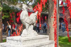 Chine-Temple taoïste-Signe du zodiac